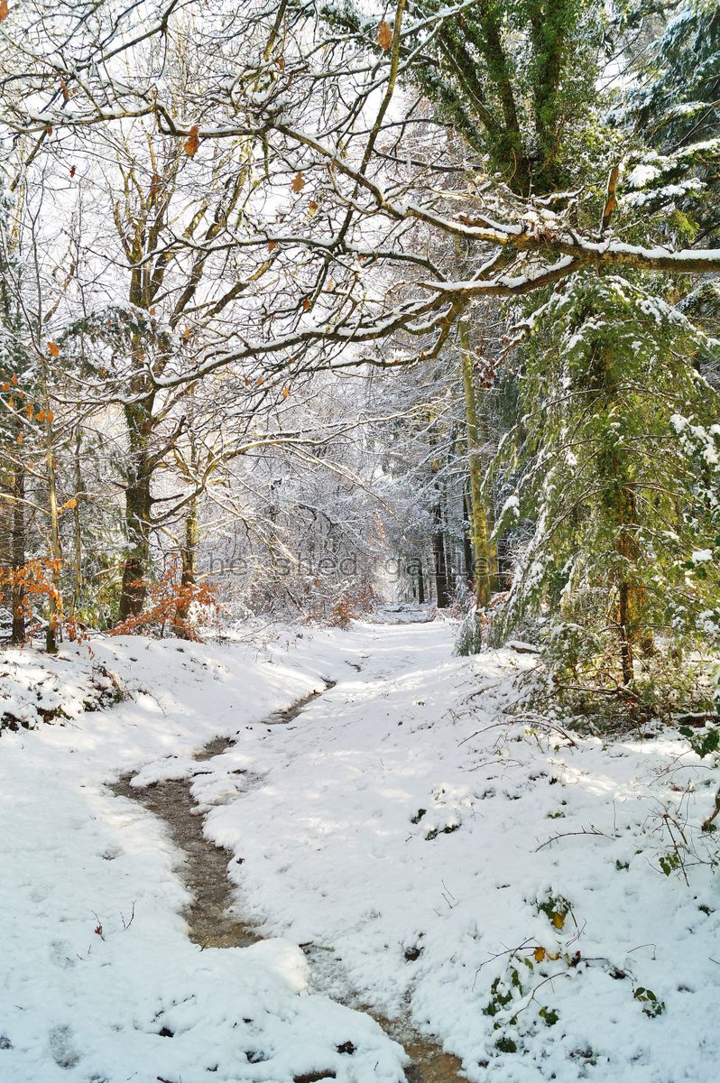 Compass07g's tweet image. Have we seen the last of the snow? ? Image available @shedphotography @aboutglos @ForestofDeanNet #winter #snow #foreststream #xmascardscene 
theshedgallery.com/exhibitor/gina…