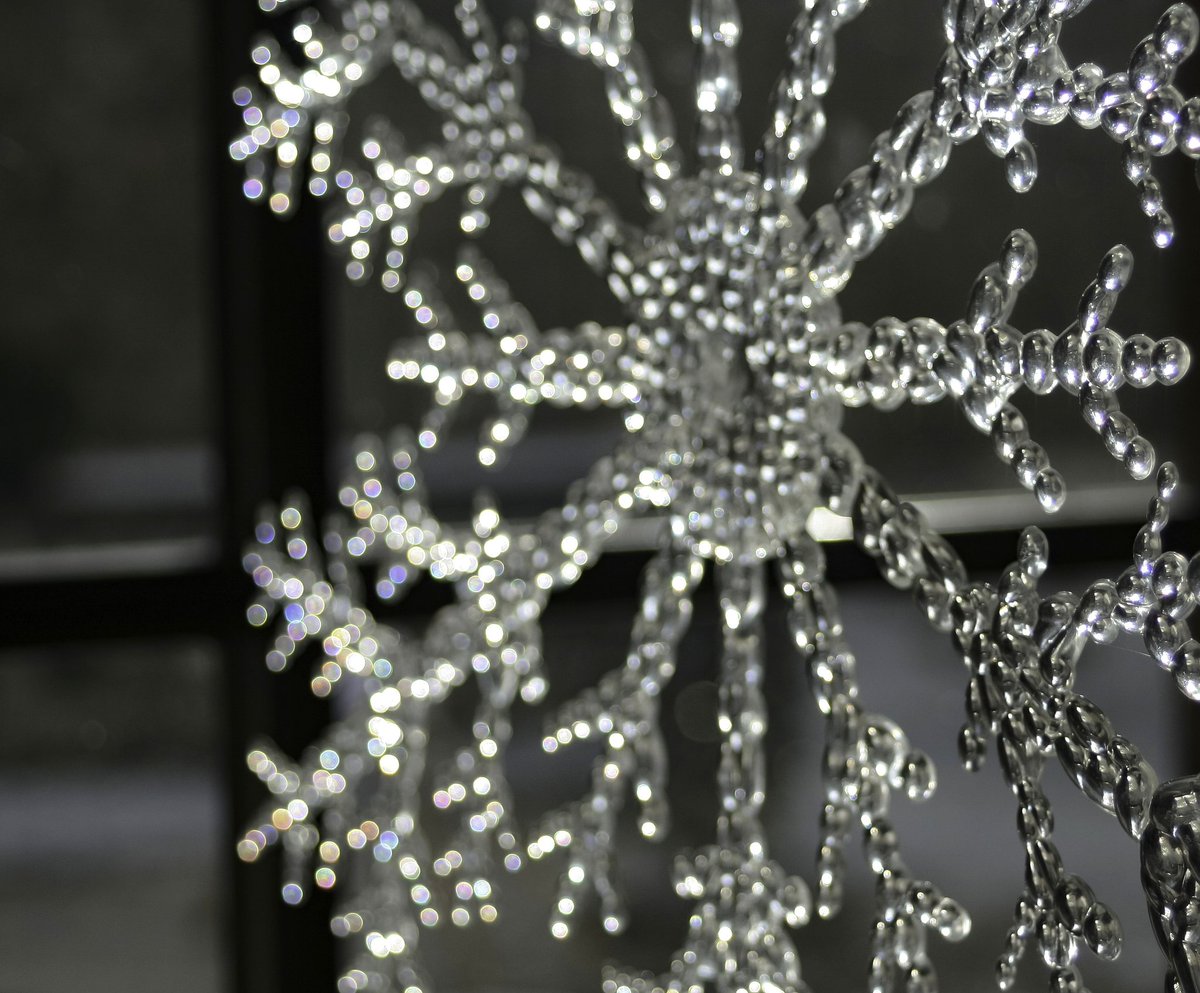 SherRoseArt's tweet photo. #bokeh #snowflake #window #altonmill #photo #cold #photography #photographer #art #artist #artlovers #artgallery #nature #colour #fineartphotography #finearts #LymeDisease #nature #nature_shooters #Canada #beautiful #artoftheday #artsanity #fotografia #pretty https://t.co/sBb9j0tAxJ