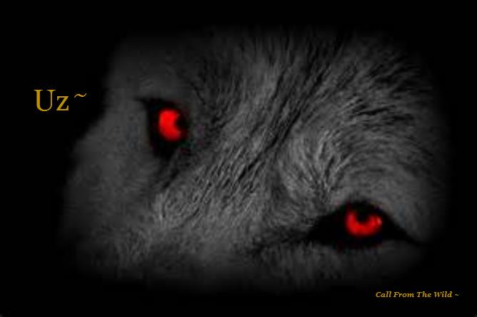 Callfromthewild tweet picture