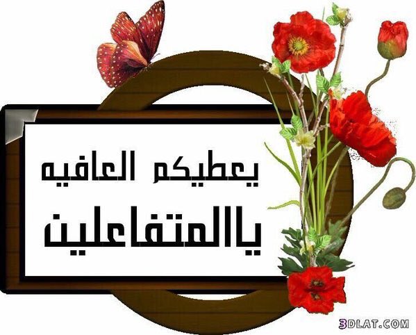 SO__dm's tweet photo. لكم أجمل عبارات الشكر 🌹
والامتنان من قلب فاض 
بـ الأحترام والتقدير 
نشكر الاعضاء المتواجدين 
والمتفاعلين نجومنا المبدعين🌹
@li___dr🐝
@zs100s🐝
@3badi029🐝
@0___3z🐝
@almasah5566🐝
@agie8947🐝
@ah_6_2🐝
@S_10_D🐝
@RTT_7889🐝
@ll2ol🐝
@gaal890🐝
@mylad111🐝
@alshuhomai🐝 https://t.co/2EO8JKGcwY