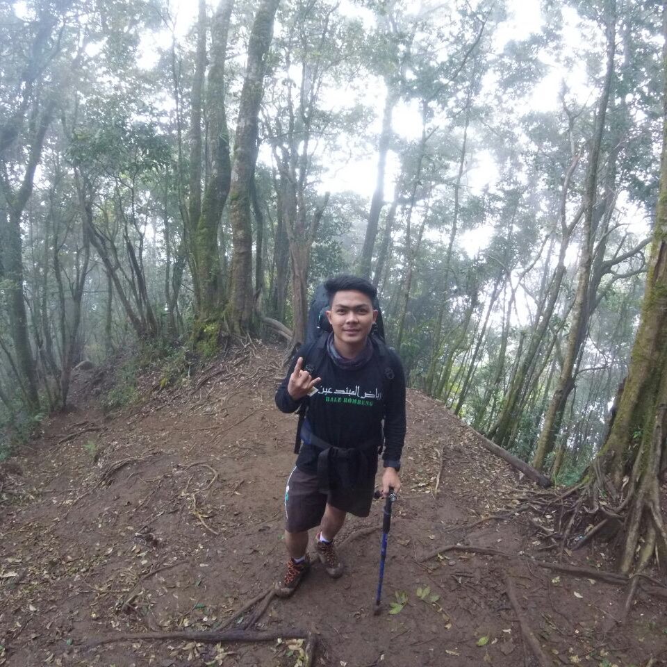 Rio_Metaaal's tweet photo. #NewProfilePic https://t.co/OyKNmIJ2FO