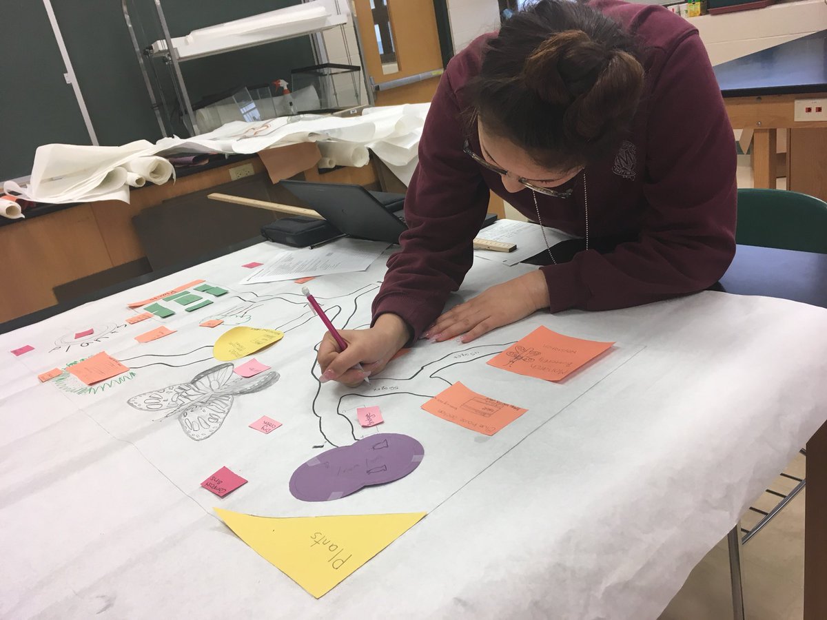 MonarchsFc's tweet photo. Natalie is measuring the total area of the path way🚶🏻‍♀️#mortonpride https://t.co/HY5S3XiHDQ