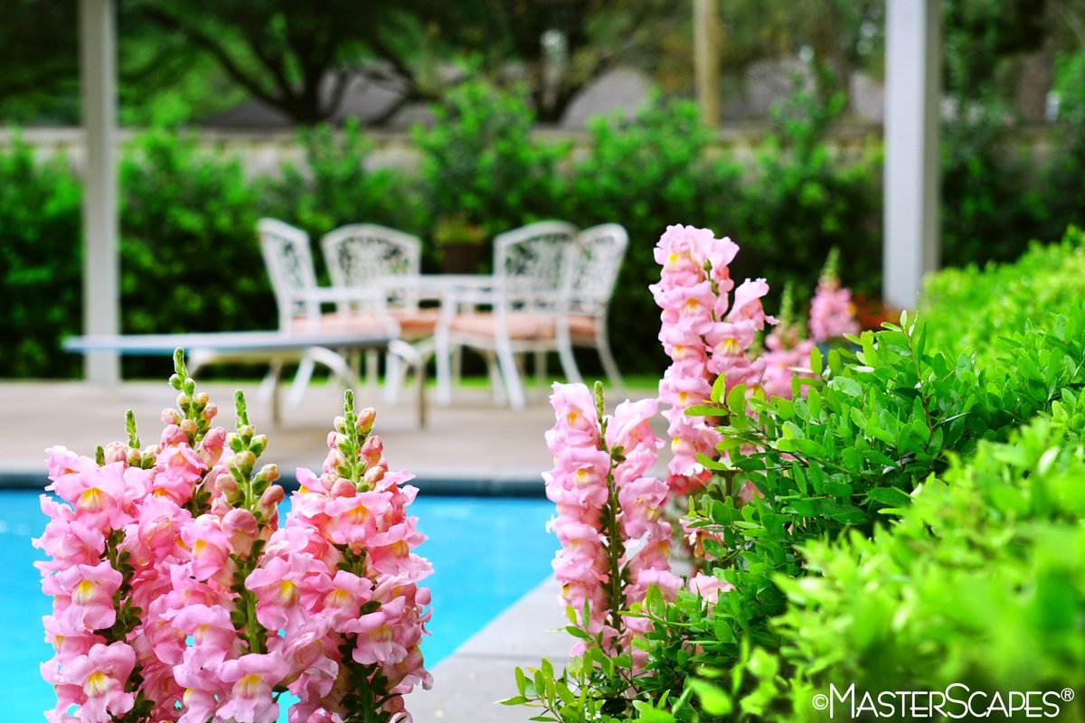 TheMasterScapes's tweet photo. The countdown is on! Only 50 days until Spring begins. #LandscapeForLife https://t.co/d4Te0a6nB9