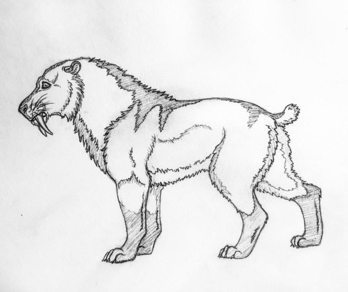 simply_sunshiny's tweet photo. When I was a kid we would always play dinosaurs in our neighbor's backyard garden &amp; I was always a sabertooth or a direwolf! It was my favoritest! #drawing #prehistoric #sketchbook #art #artist #sabertoothtiger #animalart #pencilartwork #draw #sabertooth #pencilsketch #Pencilart https://t.co/TicbetDOST