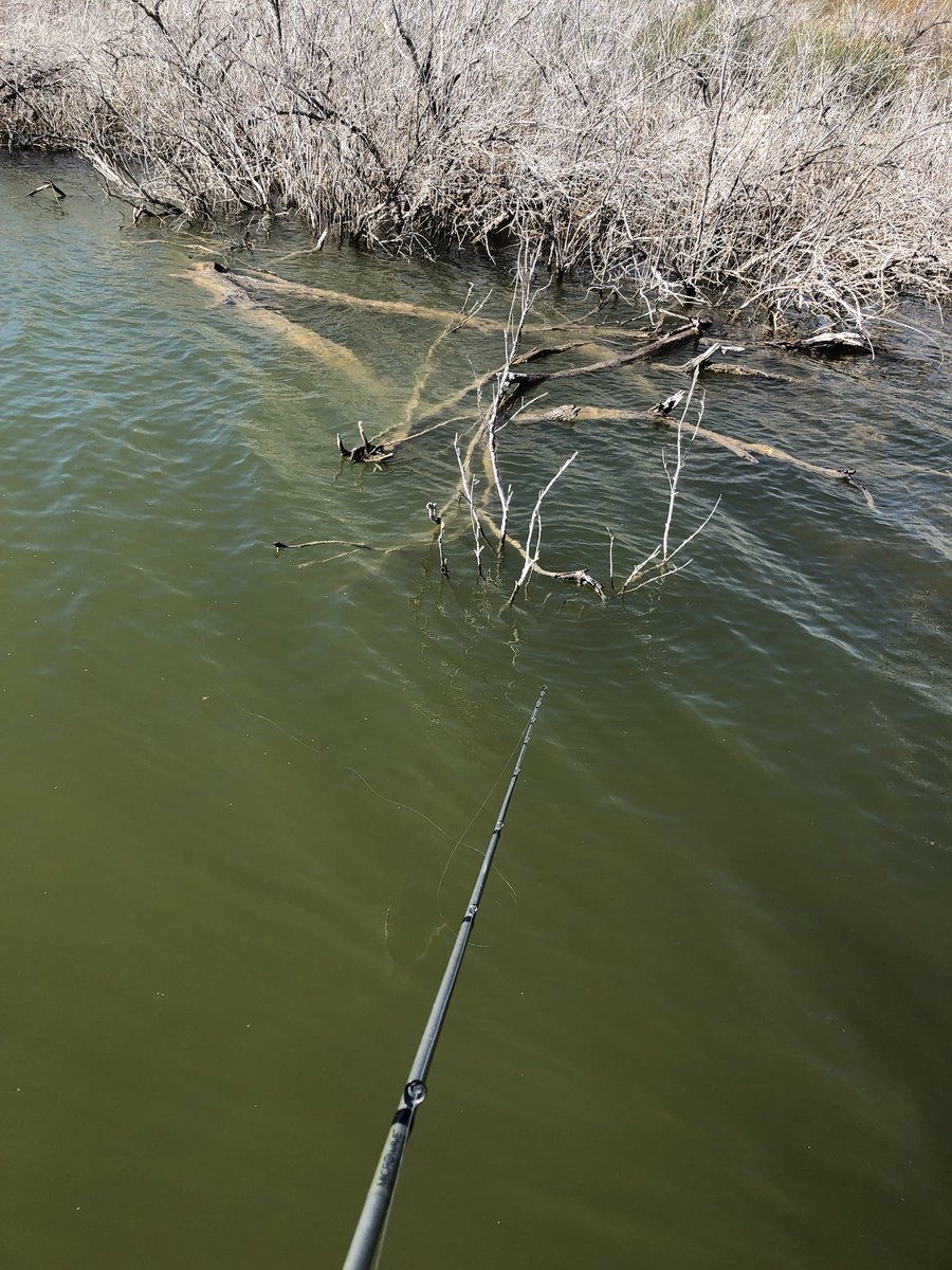 What would you throw here in 48-52 degree water? Ready...go!!!