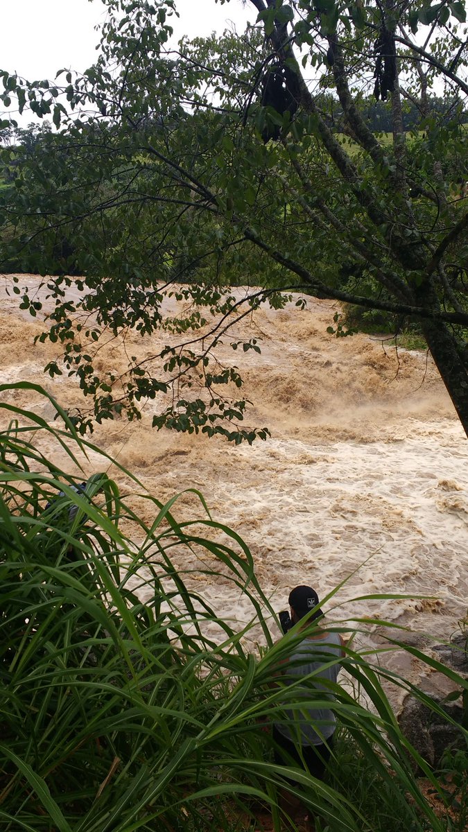Rio do Peixe 2,5 M 
#vivaKayak #paisagismo #kayaking