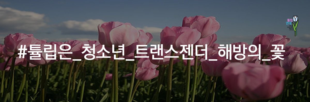 #튤립은_청소년_트랜스젠더_해방의_꽃 해쉬태그가 담긴 트위터용 배너를 만들었어요! 자유롭게 사용가능합니다!