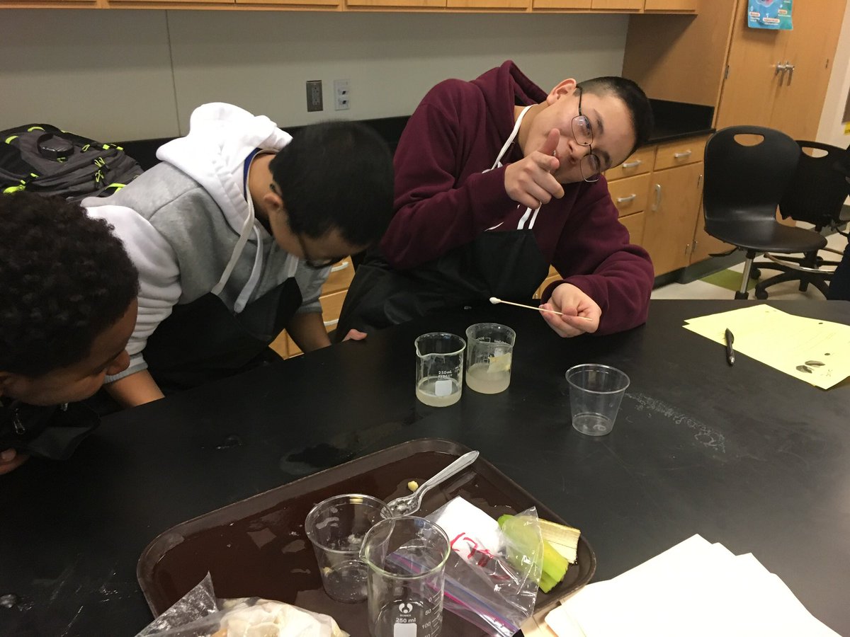 davisatran's tweet photo. What do you do when life gives you bananas? #extractDNA @WWarriorP @WHSHappenings @wakefieldchief #dnaextractionlab https://t.co/HCkwHvMPfC