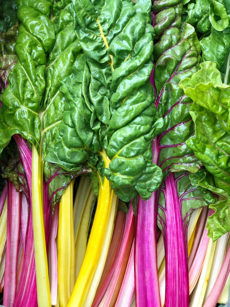 Glistening to delight #Rainbow Chard #Chefs