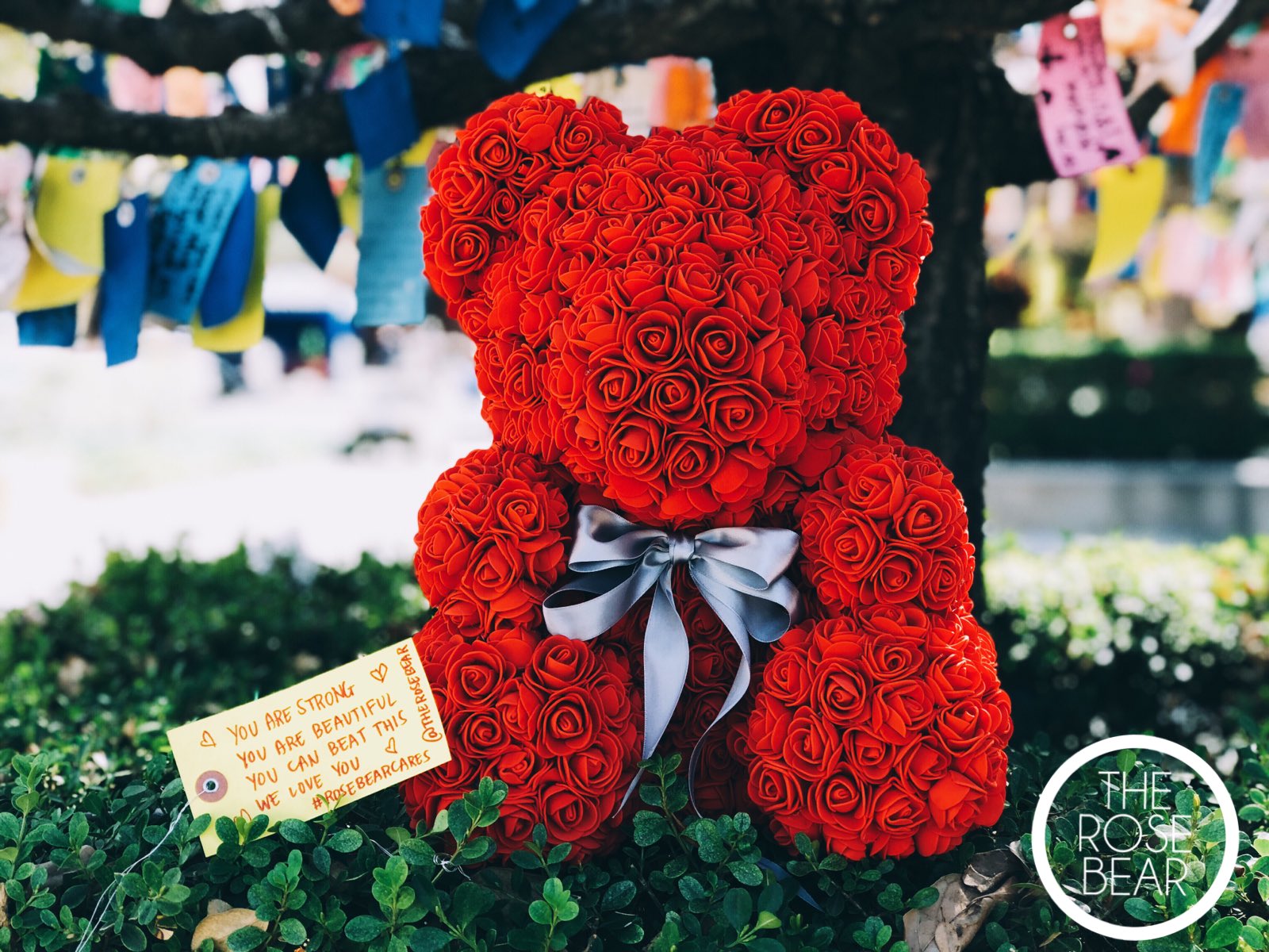 The Rose Bear™️ on Twitter 