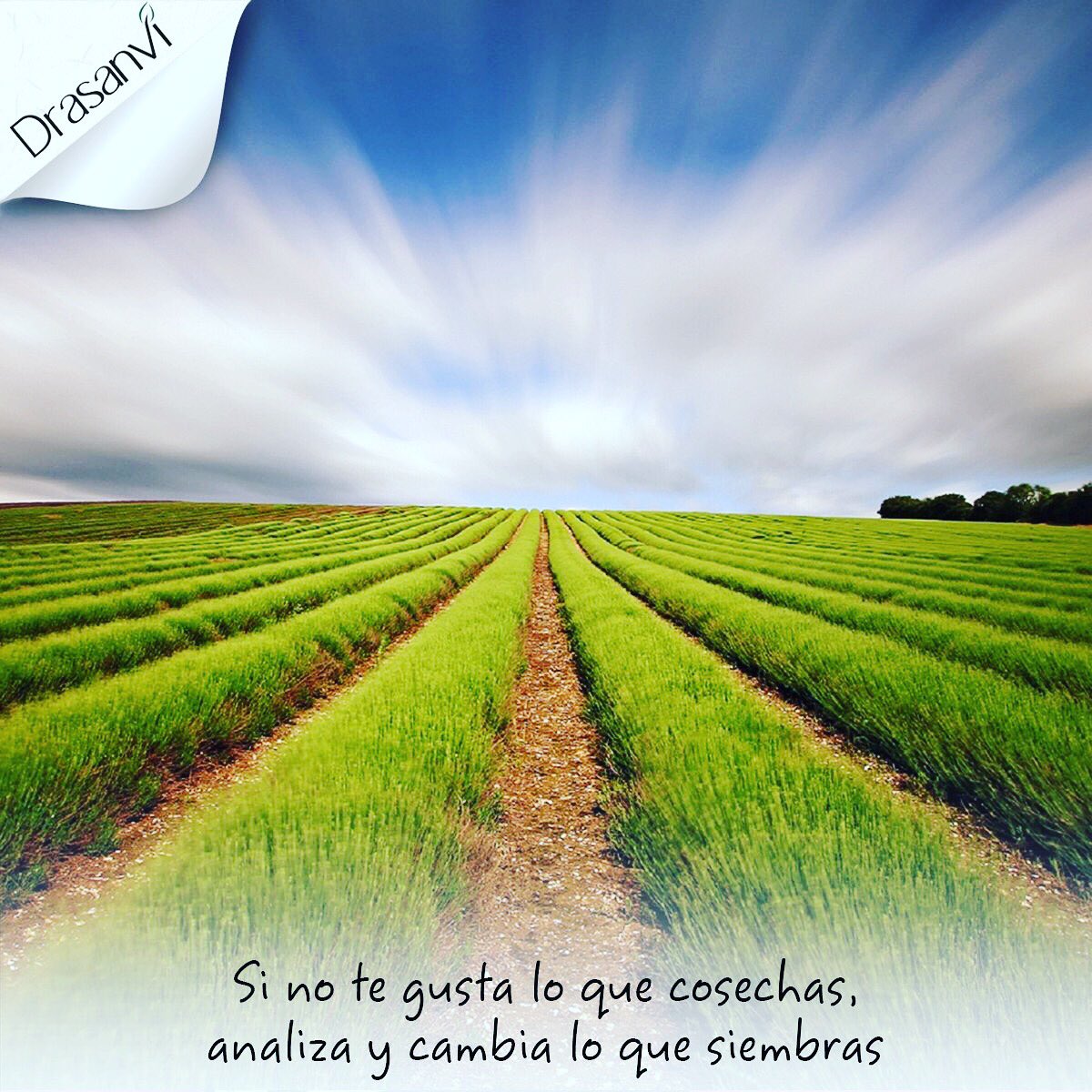 Farmaecologic's tweet image. 