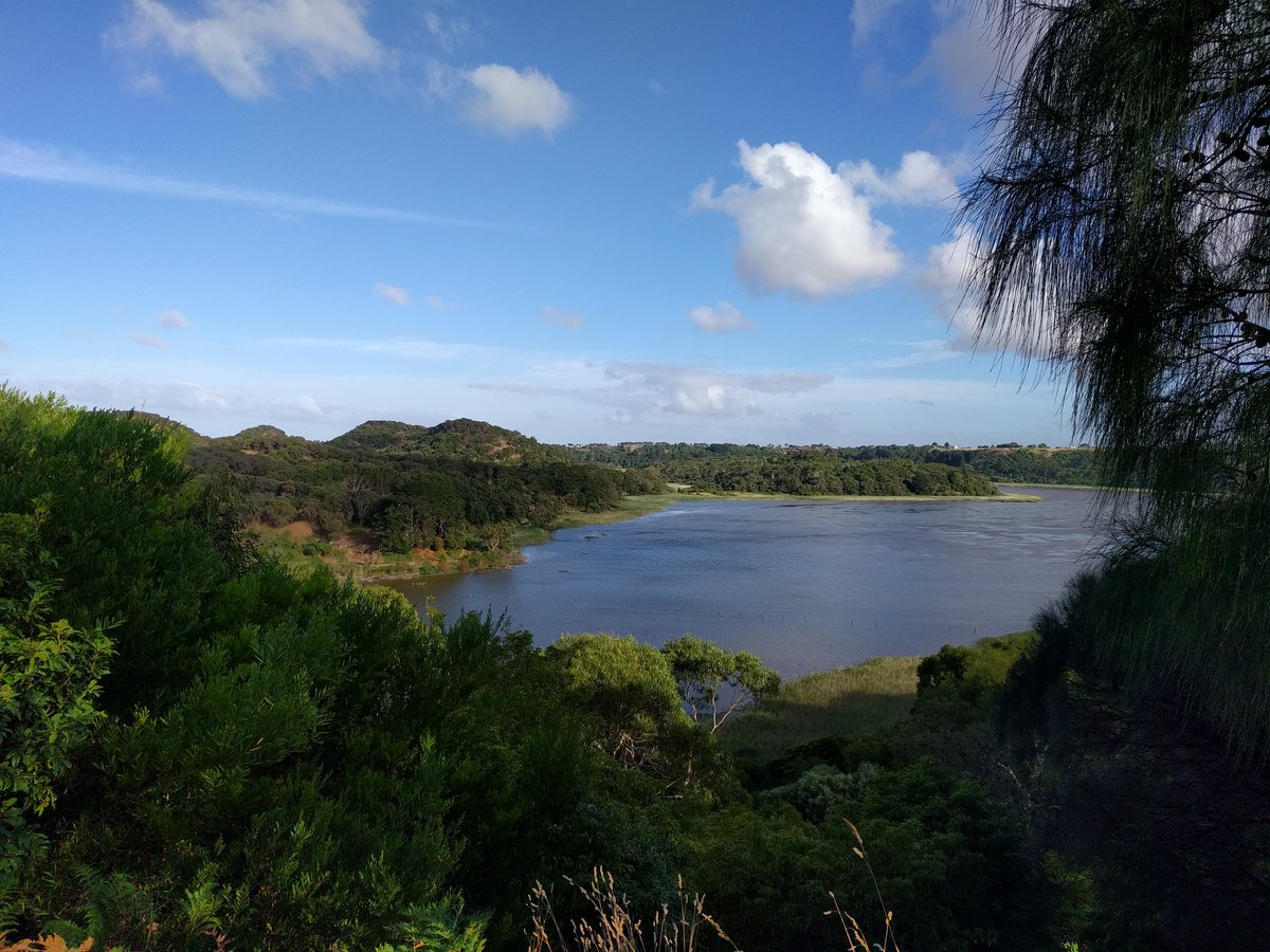 Patrick Spicer tweet media