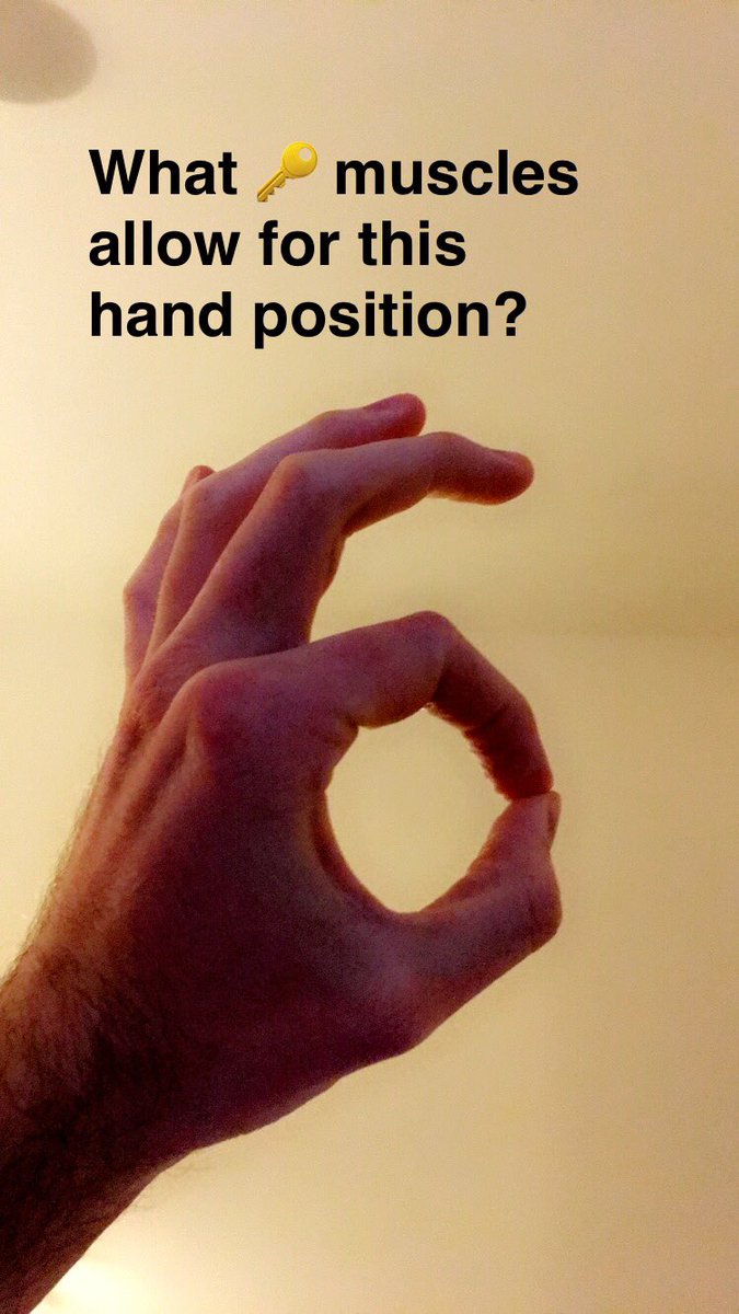 SnapSPT 👻 tweet media