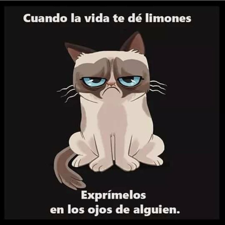 DBATIDOS's tweet image. 