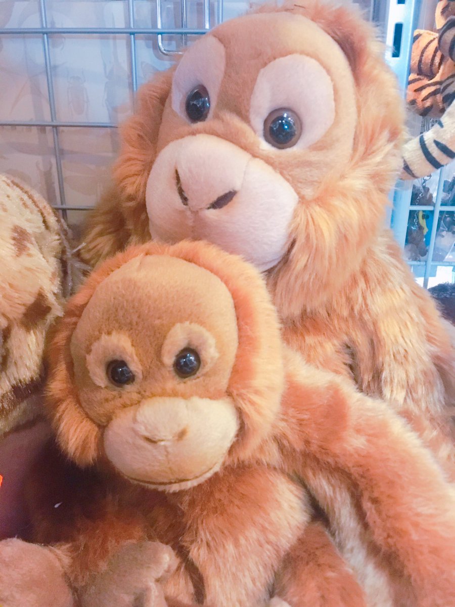 こんにちは！ 本日はオランウータンのぬいぐるみをご紹介しますo(^-^)o