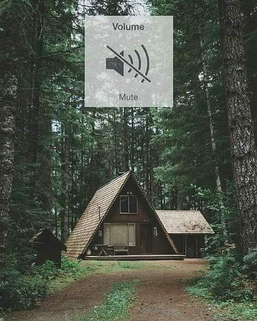 _bernardess's tweet image. #Paz ✌️