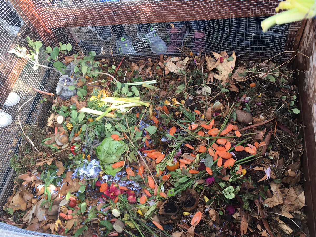wilskerscience's tweet photo. It's official @MedeaCreekMS has started our hot compost! Let the #trialanderror begin! #opshares #soilscience #teachoutside #learingwithmystudents #brownsandgreens #environmentalexplorers https://t.co/FToOA9m4eX
