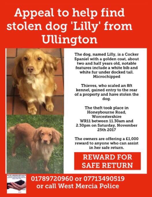 rosiedoc666's tweet photo. #allstillmissing
#getMaxhome #findstolenLilly #findstolenOlive #FINDSTOLENDOUGAL https://t.co/TMPw13OggE