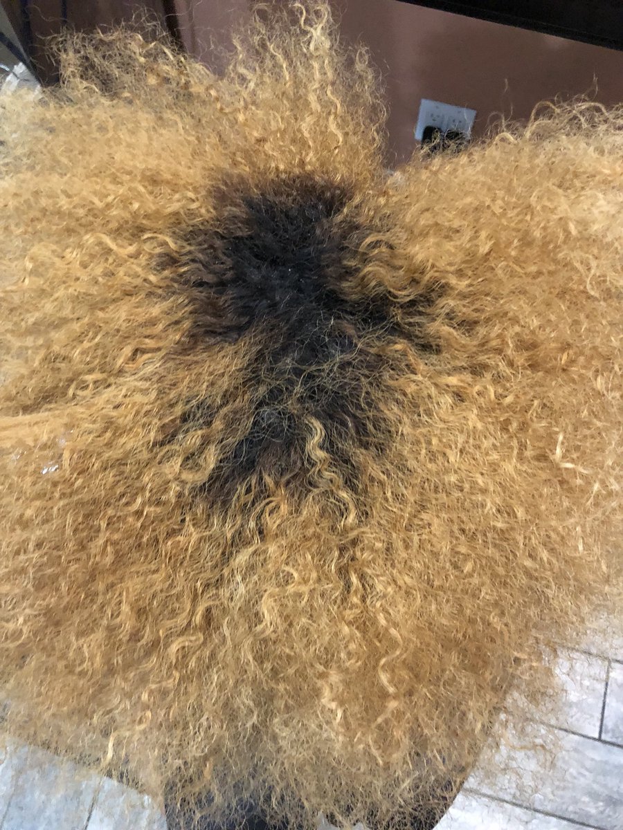 EphraimSalon's tweet photo. Sometimes just sometimes you have to just step back and just kiss yourself. #customcolor #entrepreneur #Bronzeville #pravana #pravanacolor #natural #norelaxer #blondehair #businessbuilding #businesswoman#businessbabe #blackbusiness https://t.co/GvOLdXqvfX https://t.co/KoctBqJJUj