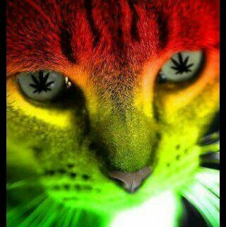 SuaAlexis4's tweet photo. #NuevaFotoDePerfil https://t.co/Zg2Hn80XZn