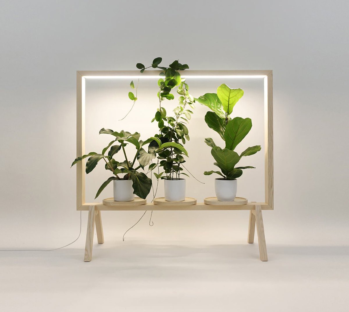 designmilk's tweet photo. GreenFrame Adds a Window of Greenery Anywhere https://t.co/l8fxIrAFl8 https://t.co/x6oibA2kPR