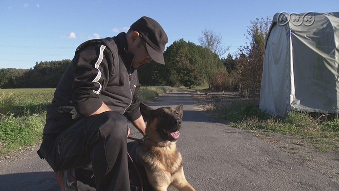 中村信哉 訓練士 犬のしつけの評判 口コミや料金 プロフェッショナル仕事の流儀 自分でできる犬のしつけ