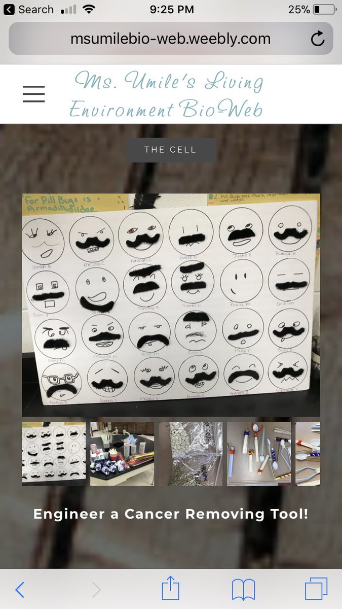 Special Cell Topic Lesson with my Honors Living Environment Students #STEMeducation #noshavenovember #movember #cancerawareness