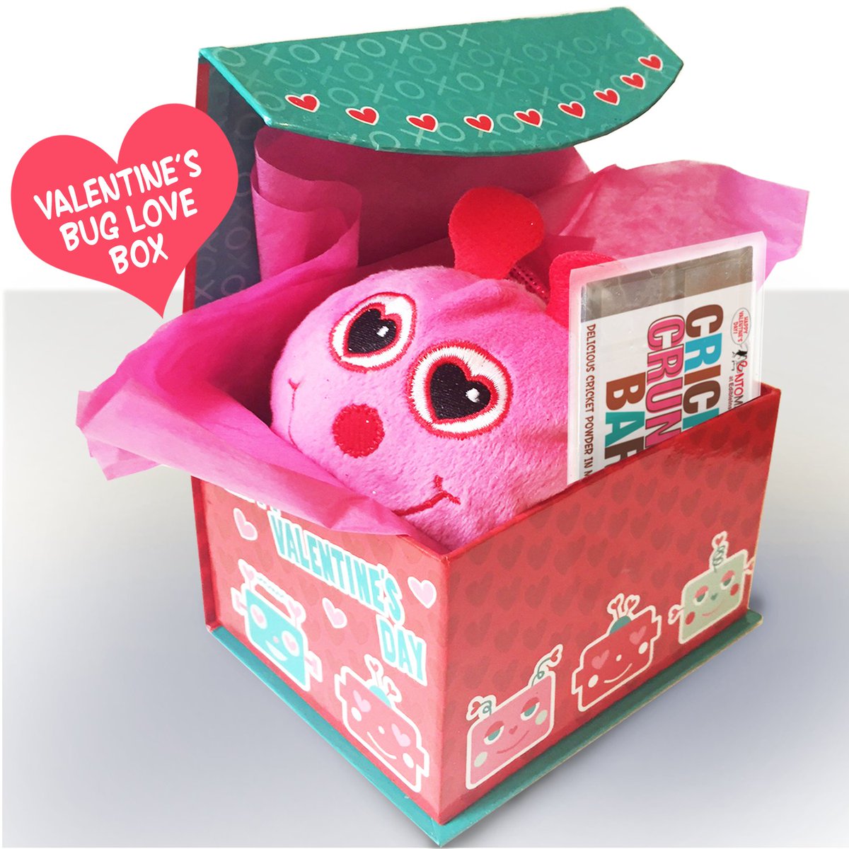 Bug_Education's tweet photo. #ValentinesDay gift. The Bug Love Box. Plush bug in reusable box with #Chocolate bar infused with #CricketFlour or/and #CricketPowder . More #Protein - than beef and salmon, #sustainable .
Pepsi CEO says #EdibleInsects are next snack trend and so do I. 
https://t.co/LJNdQJeUjg https://t.co/2WKtWpOWf3