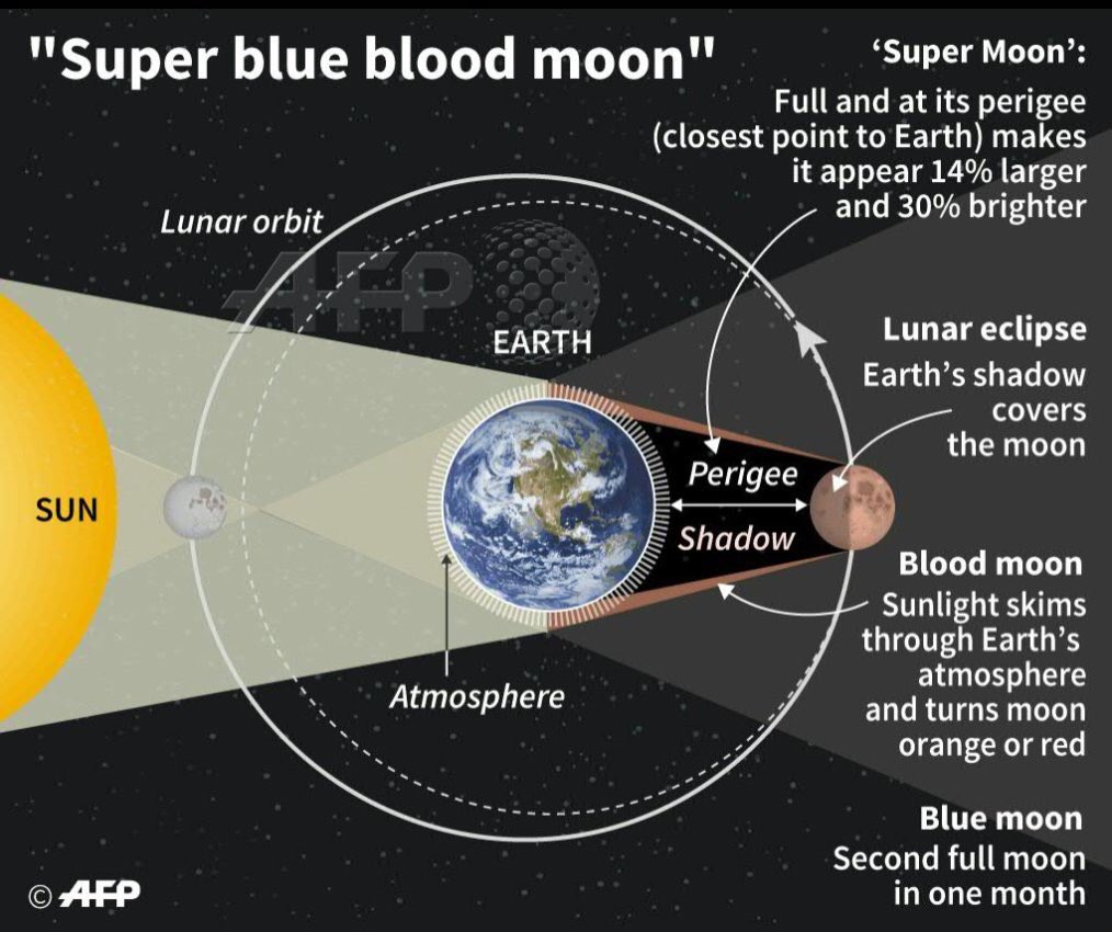wellosteo's tweet photo. On Jan. 31, a rare lunar trilogy , of super moon, , #SuperBlueBloodMoon bluemoon and #lunareclipse will occur simultaneously, the first for 150 years, make sure you see this once in a lifetime event.
See where you need to be and at what time here..
https://t.co/IMwDOOGEui https://t.co/drpysbRM7t