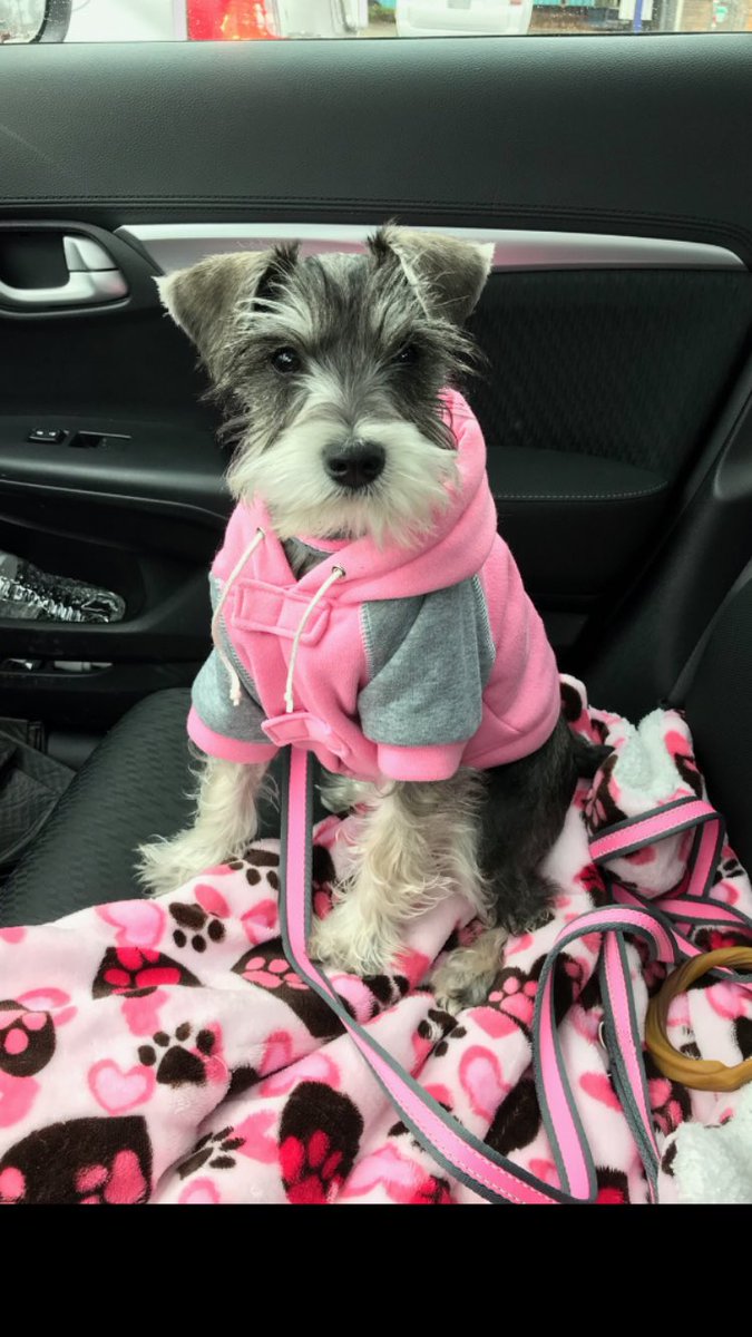 Ohyeahimfunny's tweet image. Chipper can you give my puppy a shoutout! #herothershirtisabravesjersey