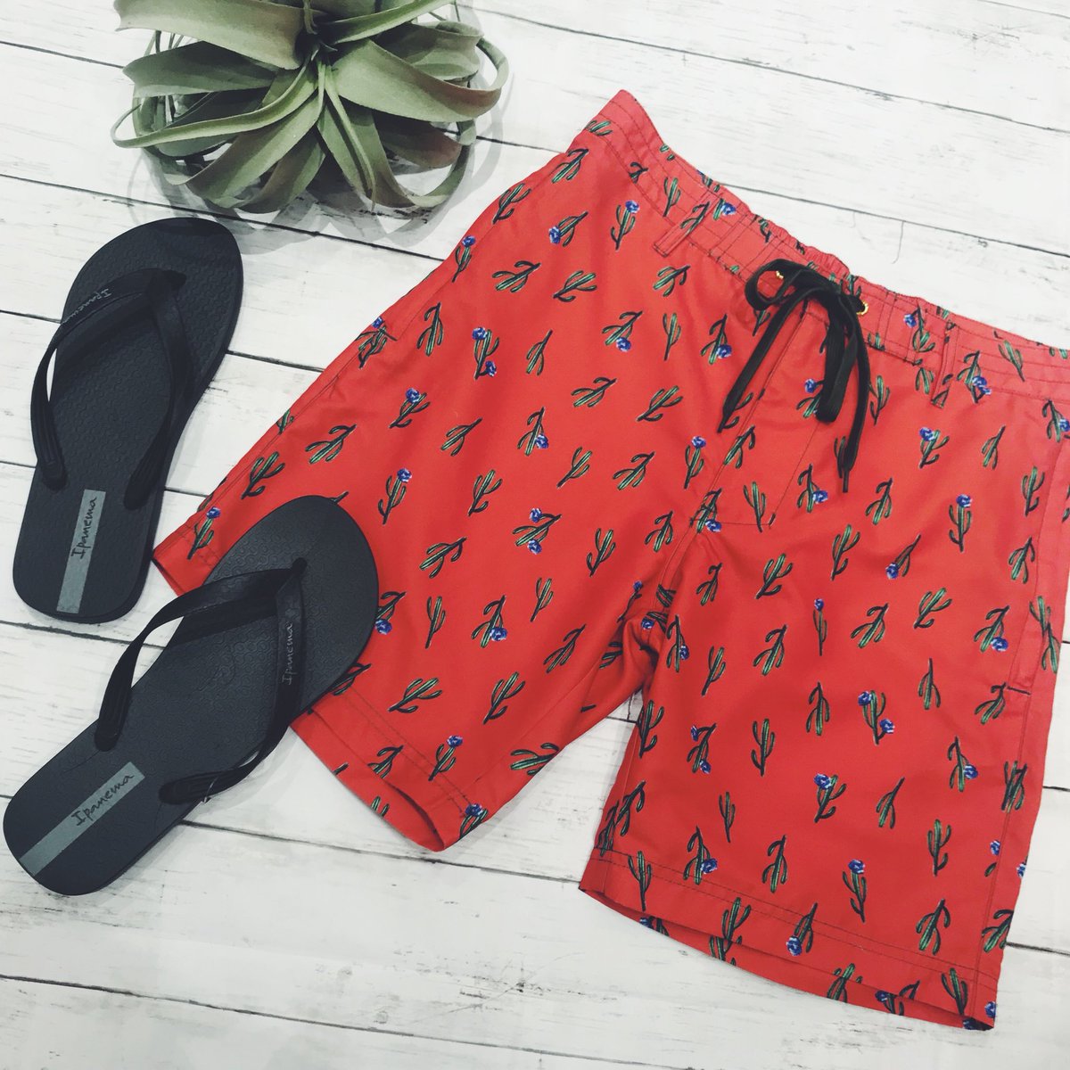 Uzivatel Peak Pine高崎オーパ Na Twitteru Cactus Orange 今年人気のサボテン柄がお洒落な 遊び心溢れるメンズサーフパンツ 注目カラーのオレンジとの 掛け合わせがこなれた印象に 群馬 高崎 高崎オーパ 年間水着ショップ 水着 メンズ水着 サーフ