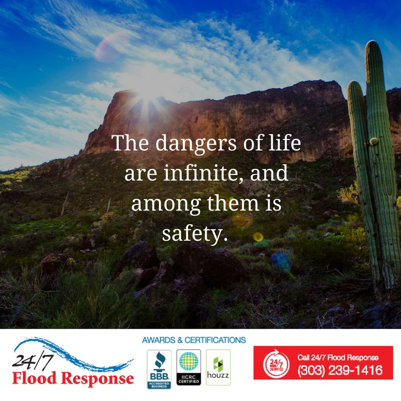 24FloodResponse's tweet photo. As a family owned company, we know how important your family is and how concerned you are for their safety. https://t.co/tnopWpnIFd