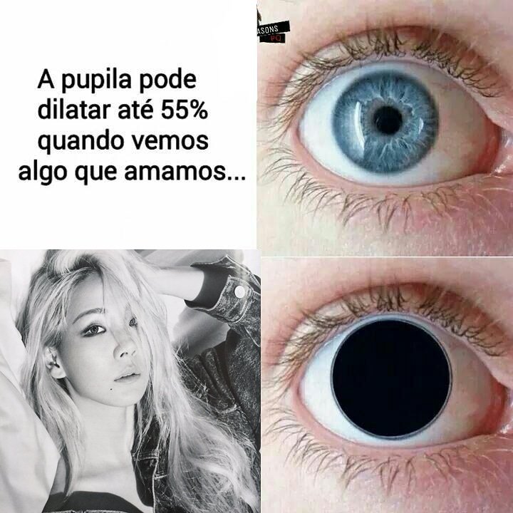 infoCL_'s tweet photo. Hoje😂💖
#ProjectCL https://t.co/vHaAHNd34R