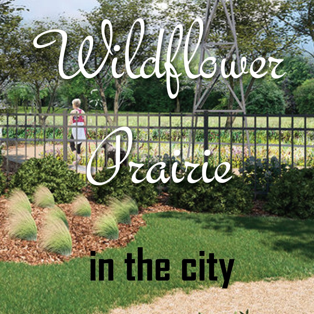RelocatingATX's tweet image. A wildflower prairie in the city. A collection of urban cabins.  Off-leash dog park Large native trees. Live/work storefronts on SoCo.  New 1, 2 &amp;amp; 3 BR from the $200Ks 512-910-5294 #buyinghomesinaustin  #austin #austintexas #austintx #austinlivin #austinliving #movingtoatx  #atx