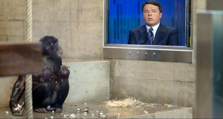 lercionotizie's tweet image. Stampa rivela: “Usate scimmie per testare il programma del PD”
LEGGI L'ARTICOLO:
bit.ly/2noB5I8