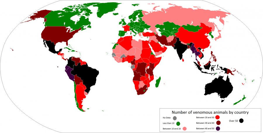 Запрещенные страны. В каких странах запретили косметику. В каких странах запрещён вейп. В каких странах запрещены цирки с животными. В каких странах был запрещён 1984.