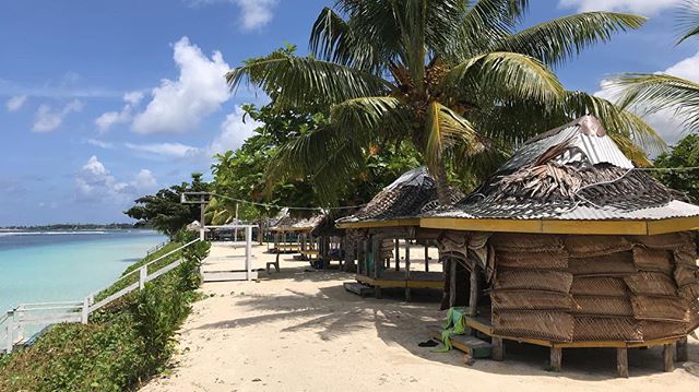 samoatourism's tweet photo. Simply Beautiful Samoa πΌπΈ
Have you ever stayed in a beach fale like these ones at Vacations Beach Fale in Manase, Savai'i?
https://t.co/zXpgYBekE6
#samoa #beautifulSamoa #beachfale #beachfrontaccommodation #happyplace
π· Fa'afetai tele lava: @daven_talamaivao https://t.co/ggtCGmcuCp