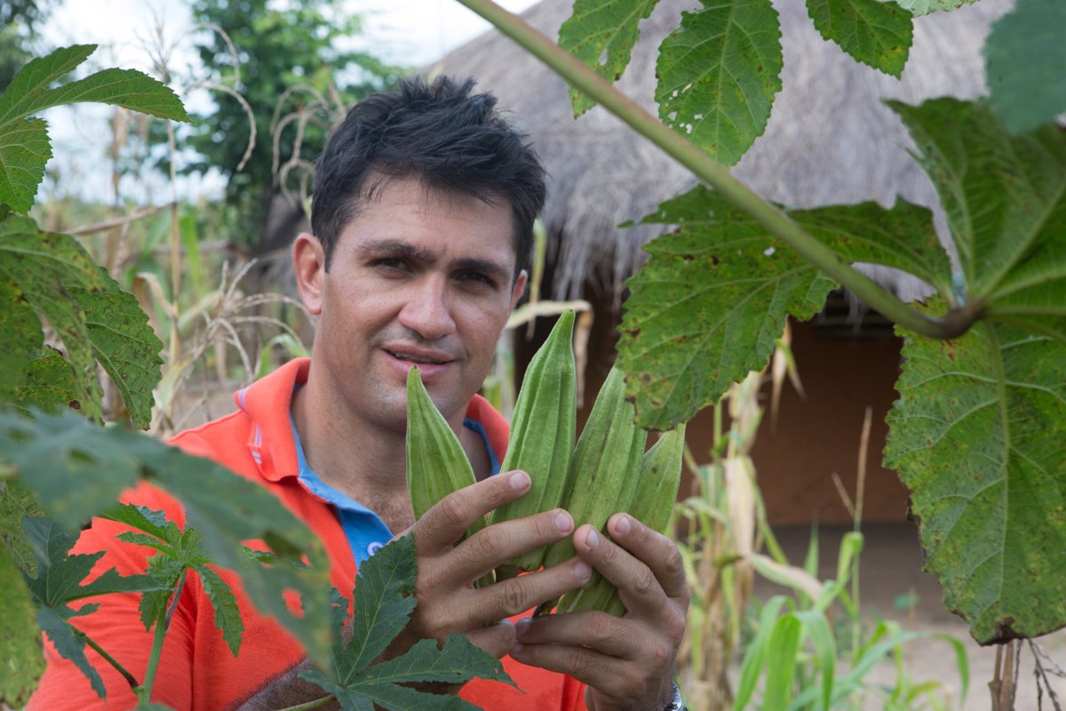 Did you know.....coz i didn't that the seeds of Okra are roasted and ground to form a caffeine-free substitute for coffee. #HowToTuesday #ChefKiranJethwa #ChefKiranCreations