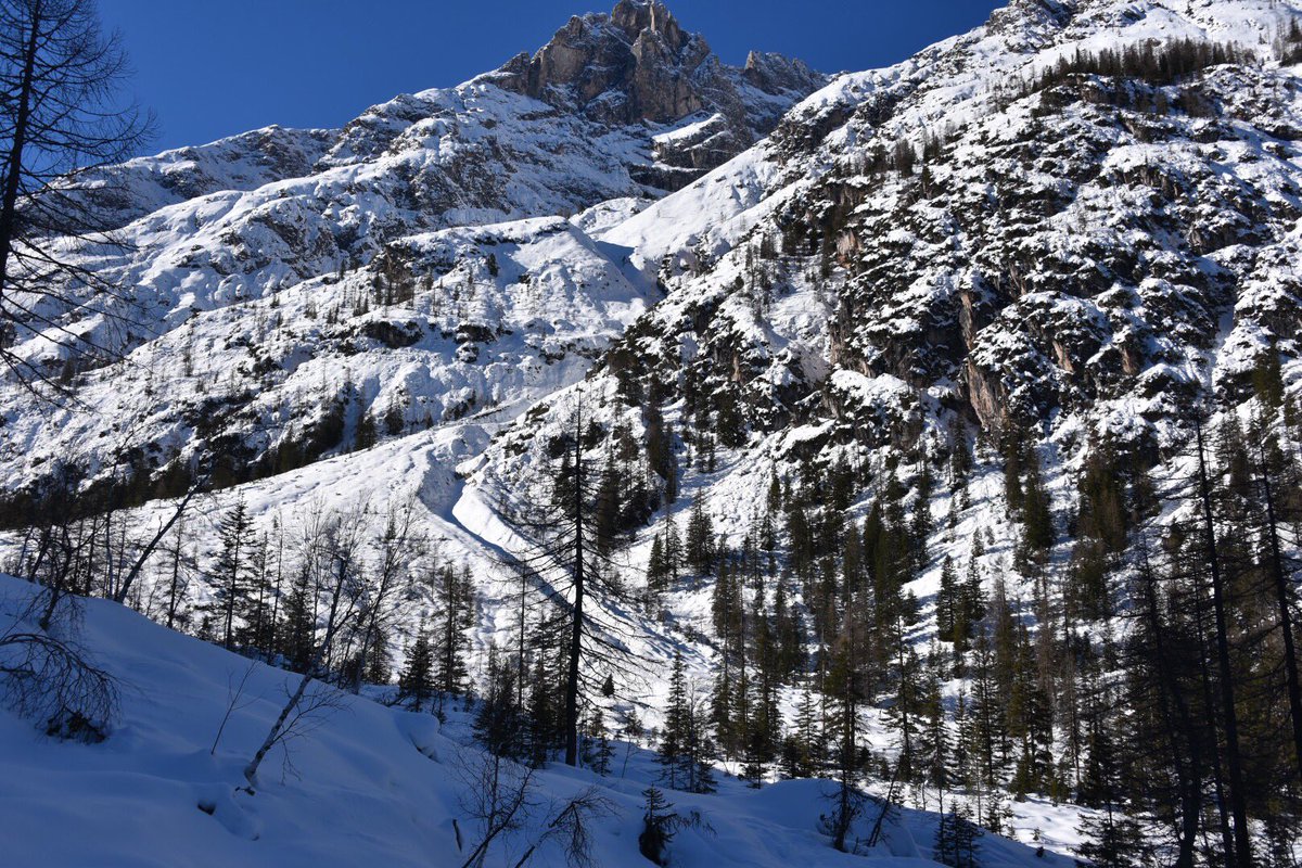 Crinviaggio tweet media