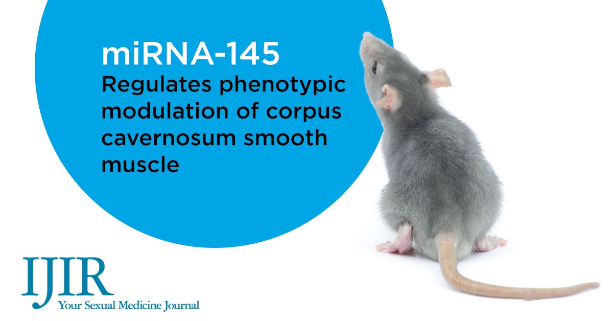yoursexmedjour's tweet image. The effects of miRNA-145 on the phenotypic modulation of rat corpus cavernosum smooth muscle cells

J Luo, L Liu, Z Wu, G Chen, E Li, L Luo, F Li, S Zhao, A Wei &amp;amp; Z Zhao

Read more ➡️📱goo.gl/w8Cwes
#mirna145  #corpuscavernosum  #erectilefunction #ijir