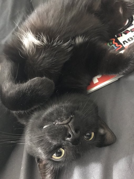 Goodnight my son https://t.co/SSgv9dKiqx<a href="/tag/fuckingmachines"class="tags"><span>#fuckingmachines</span></a>