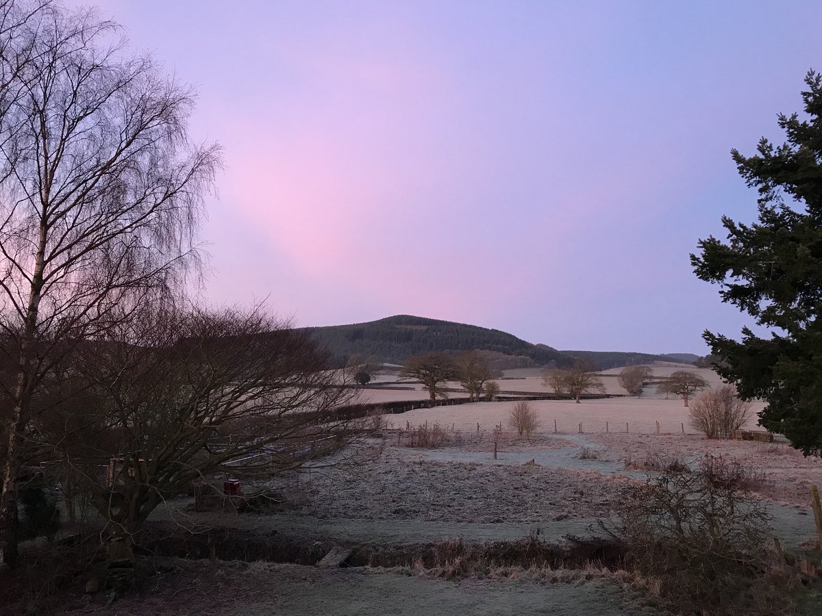 Hopton Hill in the distance with a purple and pink sky. A bare silver birch on the left and a conifer on the right with frost covered lawn and meadow. In the distance the fields are dotted with bare oak trees