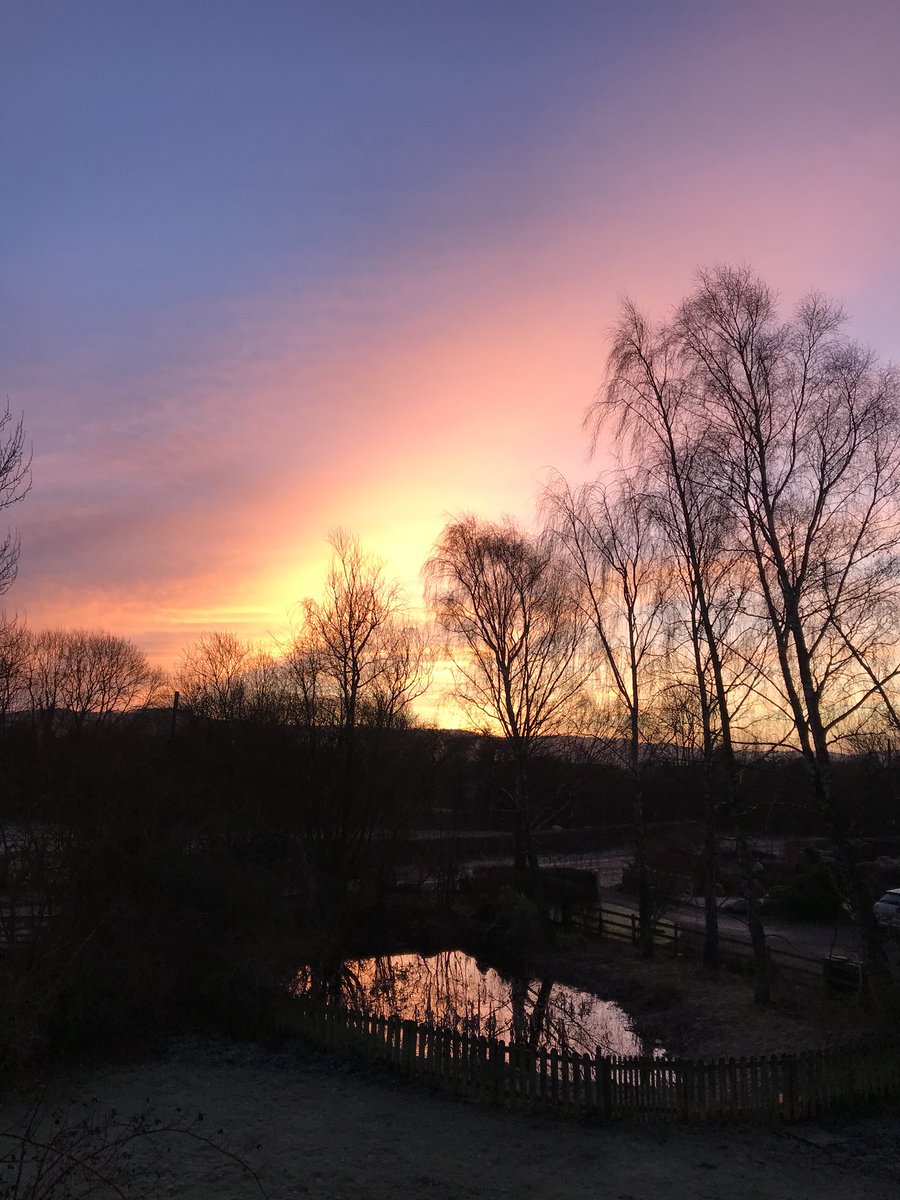 Sunrise looking east. Sky is blue, red, pink and orange with large bare trees silhouetted against and a still pond reflects the sky and the trees
