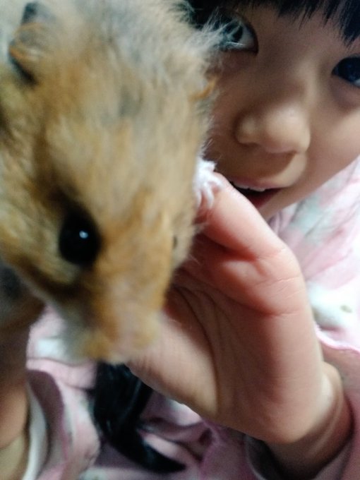 Twitterのコスプレ画像7