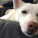 Neu im Blog: So läuft es im Januar 2018 :-) 
zpr.io/nYdZU