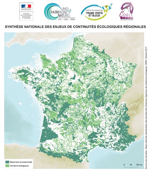 #Trameverteetbleue : @INPN_MNHN met à disposition une carte nationale sur la #TVB et propose les #données régionales des schémas régionaux de cohérence écologiques #SRCE bit.ly/2Gu0JnG