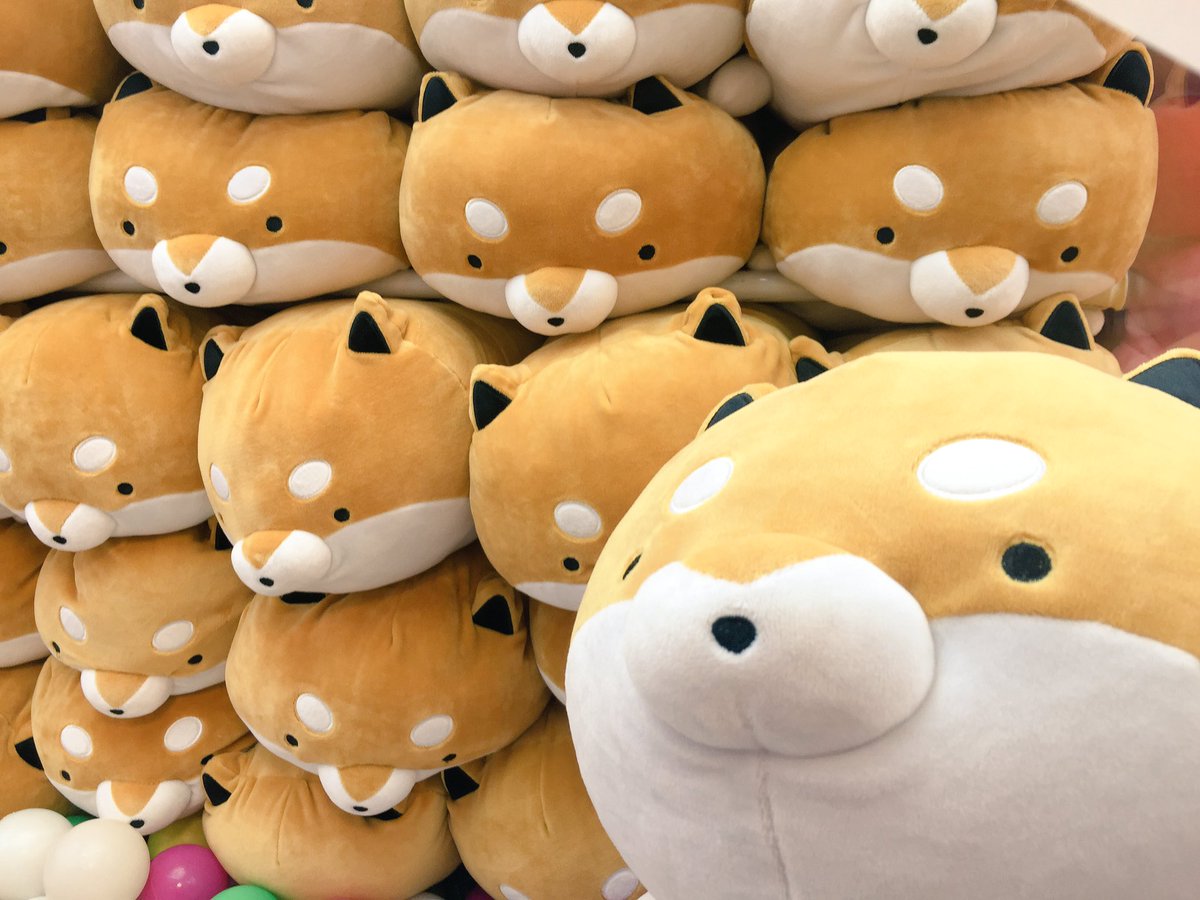 タイトーステーション アミュプラザ鹿児島 Twitterissa オススメ景品 当店で大人気でした タヌキとキツネ が 新たな動物として登場 たるしば もちもち寝そべりぬいぐるみ うひゃぁぁ このキョトン顔がもう癒しでしかない 触り心地も抜群ですので