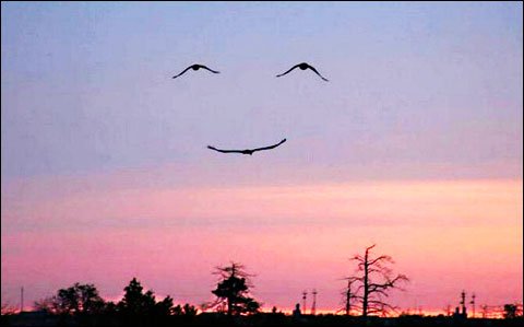 #Glimluchten is een nieuw werkwoord. Het betekent: oog hebben voor het mooie, het aardige. Het werkwoord is gebaseerd op dit oude plaatje. En wie nu zegt dat dit een gefotoshopt plaatje is, doet juist niet aan glimluchten.