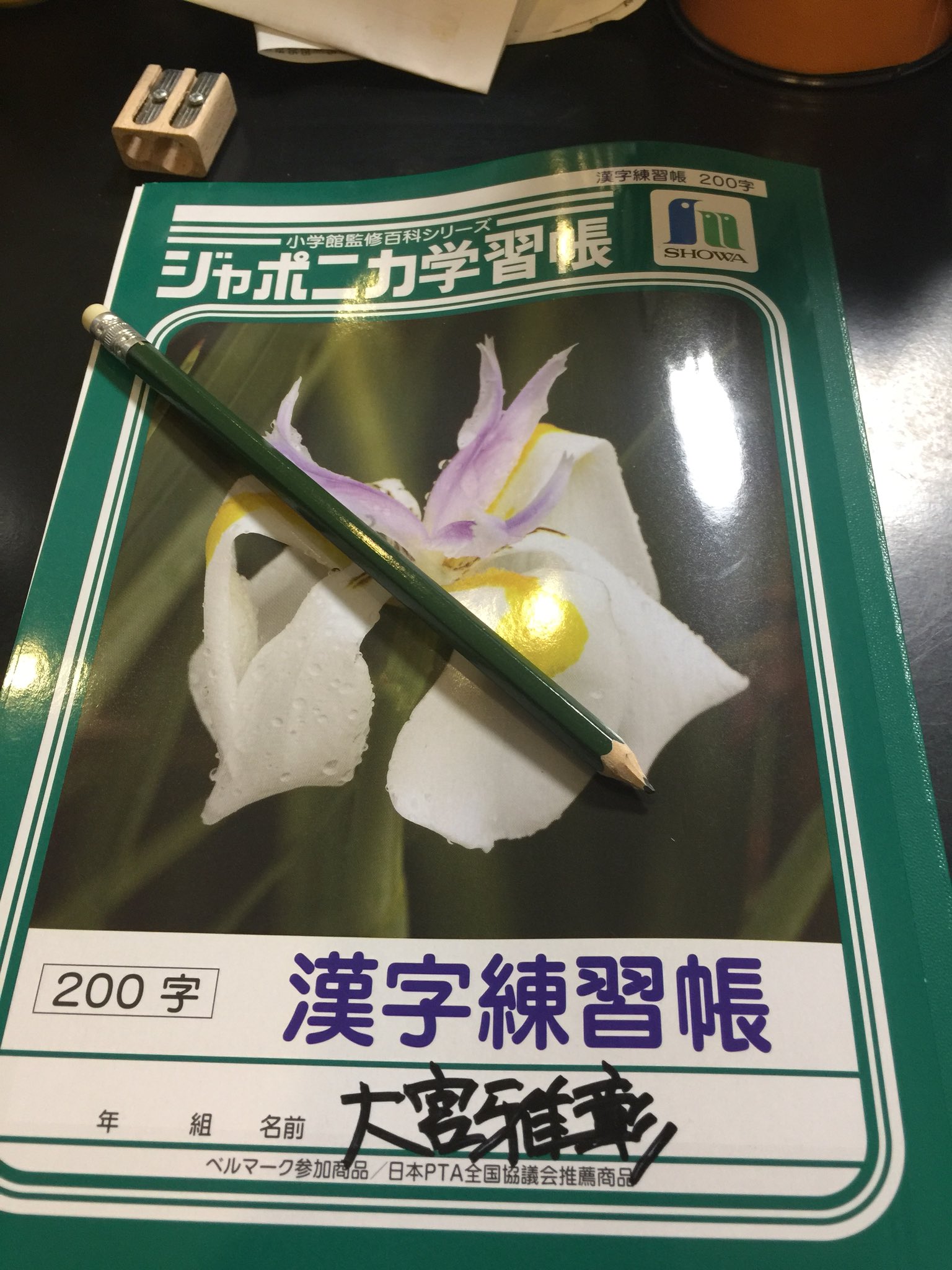 カエル大宮 No Twitter やっと今日から 読めても書けない漢字の書き取り練習を始める まずは悲願の 薔薇 から 70字書いたら覚えた 形を真似るから汚い 残り30字は明日の復習用 ネットに書き順サイトがあり それを参考に書いたが 草冠の書き順がすげー違っ