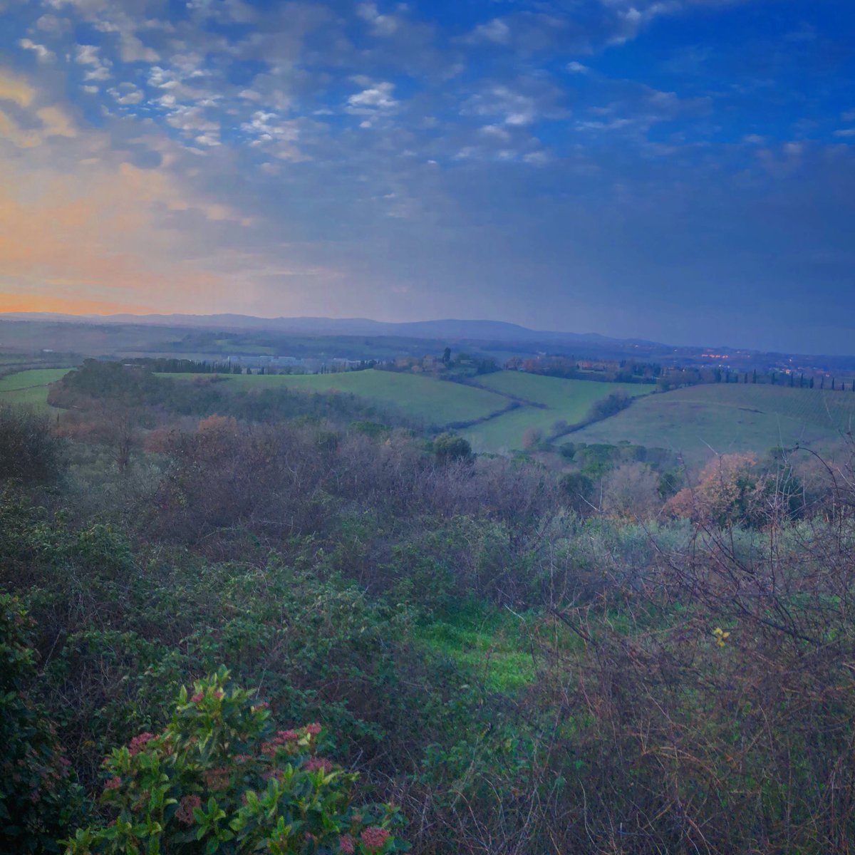 EnoloGoTravel's tweet photo. Val d’Elsa 🌅 #naturalbeauty #tuscany https://t.co/6h6tSF9fTS